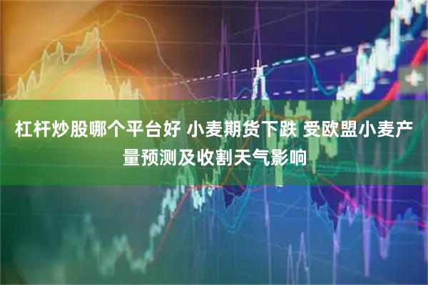 杠杆炒股哪个平台好 小麦期货下跌 受欧盟小麦产量预测及收割天气影响