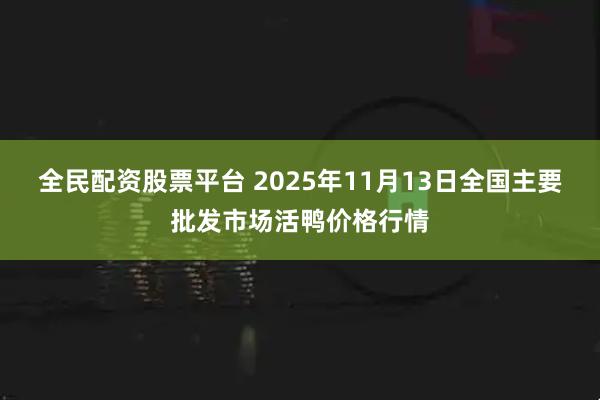 全民配资股票平台 2025年11月13日全国主要批发市场活鸭价格行情