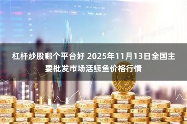 杠杆炒股哪个平台好 2025年11月13日全国主要批发市场活鳜鱼价格行情