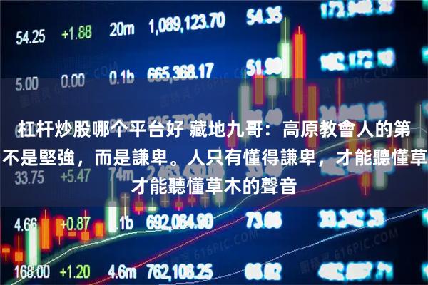 杠杆炒股哪个平台好 藏地九哥：高原教會人的第一件事，不是堅強，而是謙卑。人只有懂得謙卑，才能聽懂草木的聲音